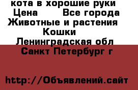 кота в хорошие руки › Цена ­ 0 - Все города Животные и растения » Кошки   . Ленинградская обл.,Санкт-Петербург г.